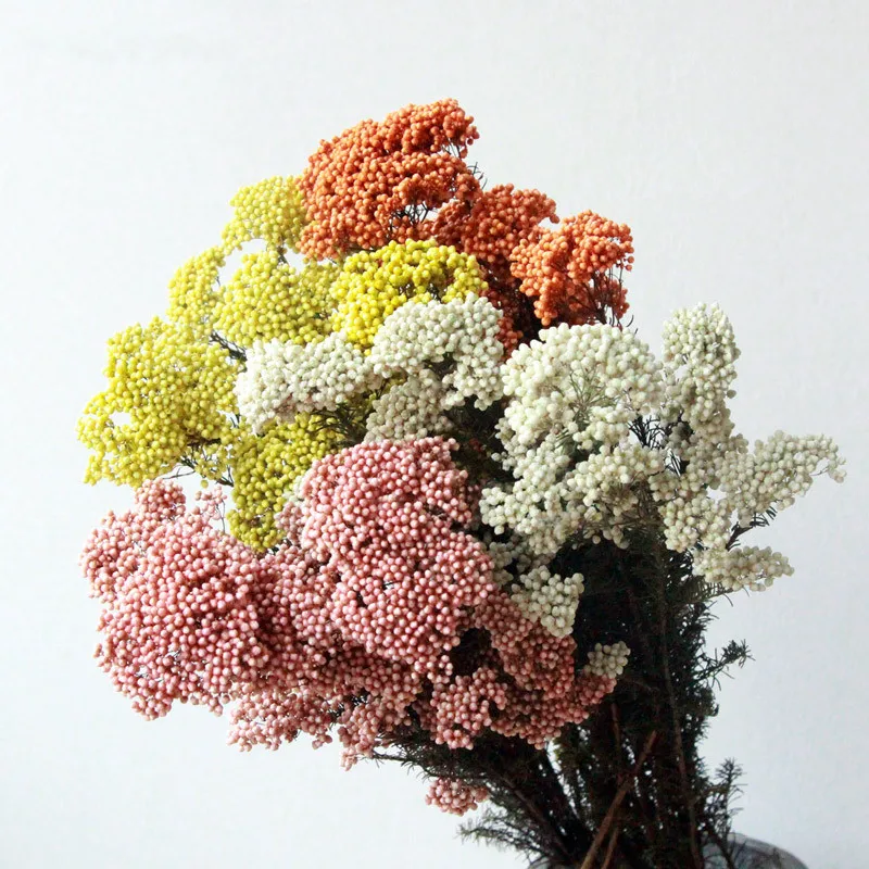 80g Večný Suchej Ryže Kvet Proso Kvety Hlavy DIY Prírodné Centerpieces Výzdoba Domov Svadobné Party Decor